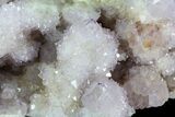 Cactus Quartz (Amethyst) Cluster - South Africa #80016-1